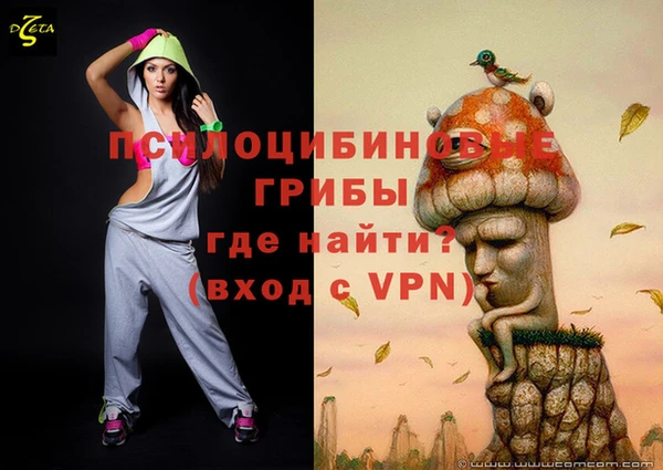 мескалин Надым