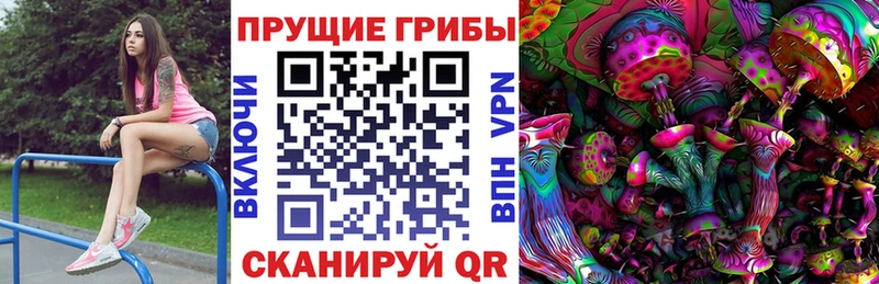 Купить где  Тавда  Псилоцибиновые грибы MAGIC MUSHROOMS 